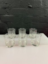 Portmeirion Botanic Garden