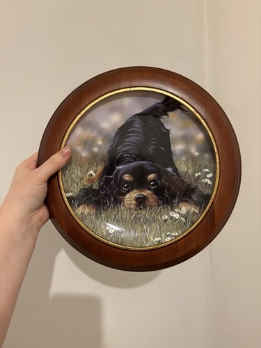 Danbury mint play time - danbury,