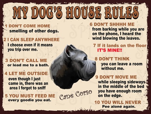 Dog house rules cane - my,