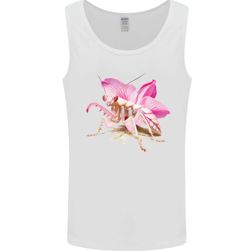 Orchid mantis mens - an,