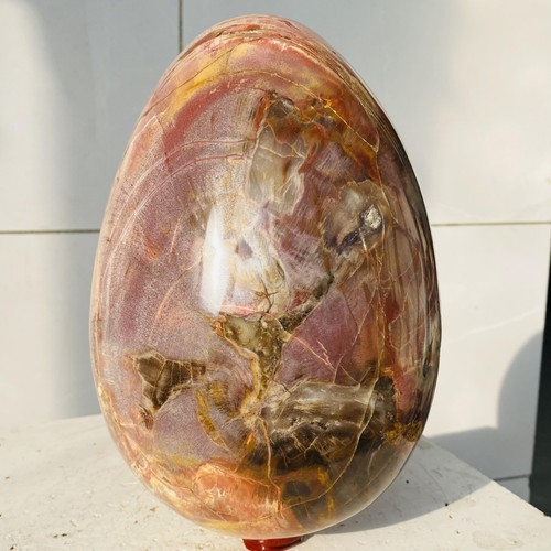 Natural petrified wood egg - petrified,