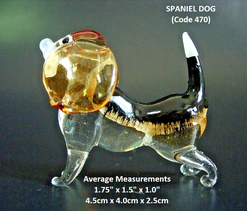 Glass dog spaniel hound - dog,