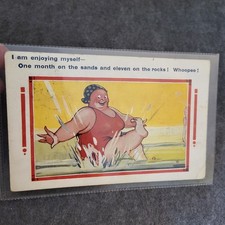 Saucy Seaside Humour Postcard