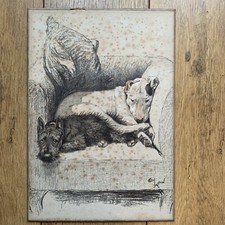 Cecil Aldin ~ Scottish Terrier