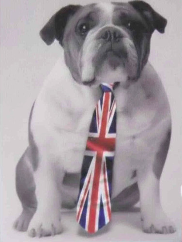 Large wall mural - wall, british