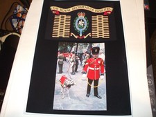THE ROYAL REGIMENT OF