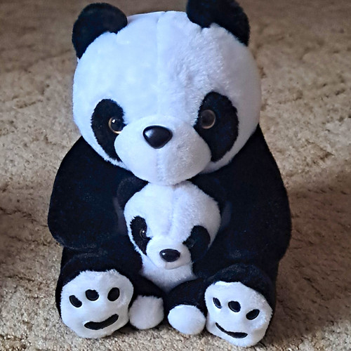 Panda plush - panda,