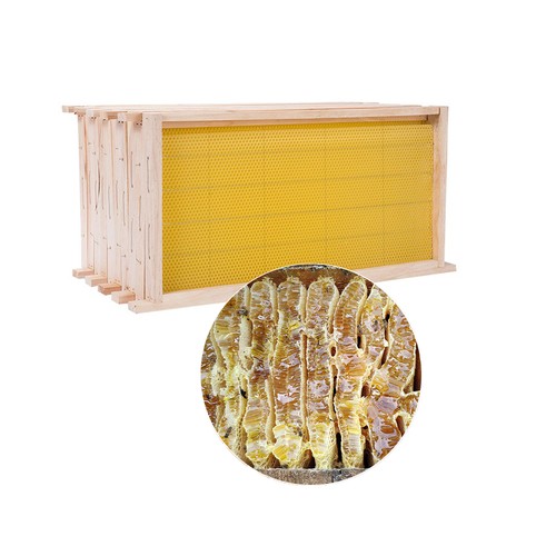 10pcs pre assembled langstroth - 10pcs,