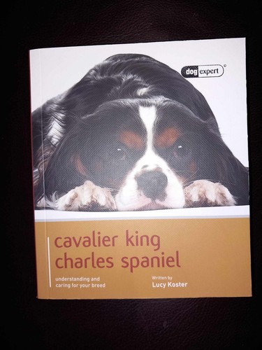 New dog expert book - dog,