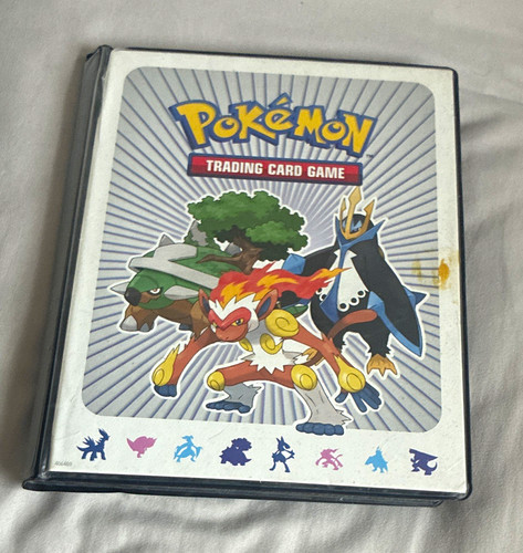 Pokémon tcg binder - pokémon, +