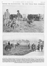 ASTON ABBOTTS Buckinghamshire Bloodhound Breeders Trials - Vintage Print 1931