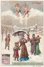 Liebig 6 cards V/G:  S784