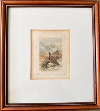 Graham Payne Signed Limited
