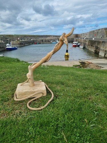 Driftwood table lamp with - lamp,