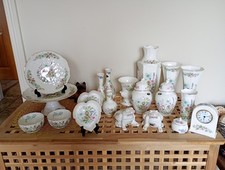 Aynsley Wild Tudor  x 20