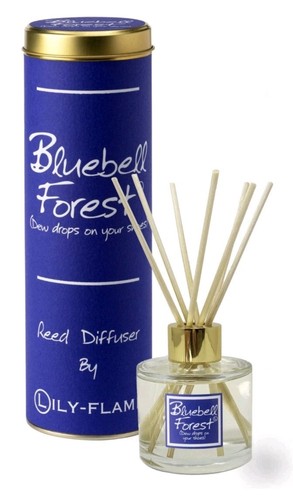 Lily flame bluebell - flame, forest