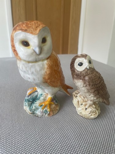 Pair beswick owls in - of,