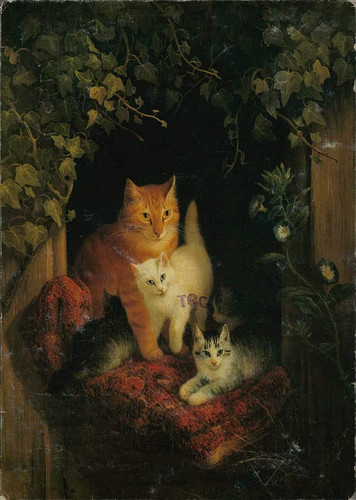 Henriette ronner knip cat with - henriette,