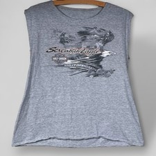 Harley Davidson Screamin’