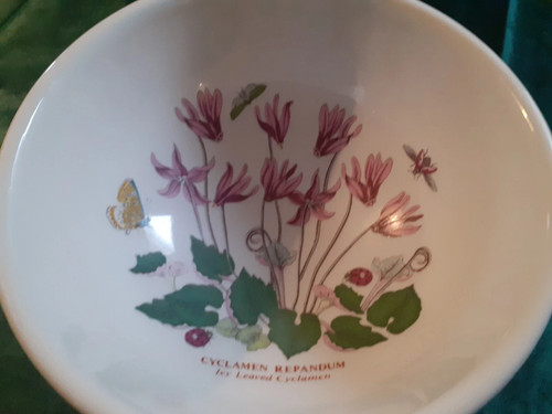 Vintage portmeirion botanic - vintage,