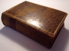 Das Leben Michelangelos Grimm