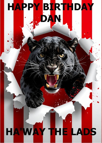 Sunderland black cat - sunderland,