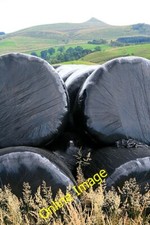 Photo 6x4 Wrapped silage