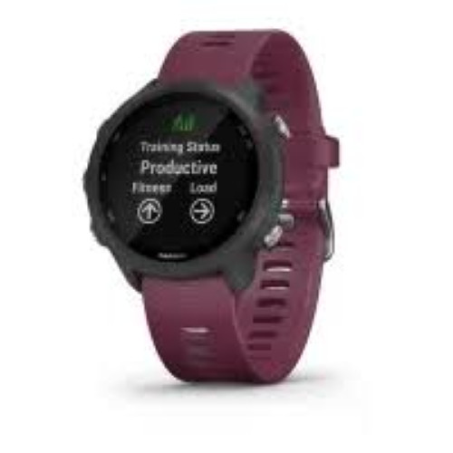 Garmin forerunner 245 gps - forerunner,