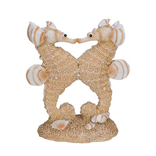 Sand and shell - sand,