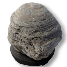 Suiseki Stone Viewing Natural