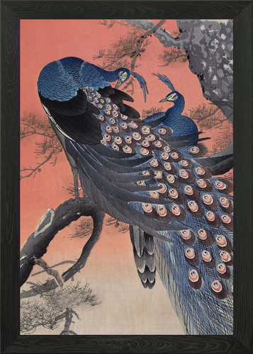 Two peacocks branch - on,