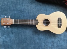 Kala KA-SCG Concert Ukulele
