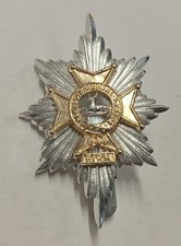 Staybrite Worcestershire & Sherwood Foresters Anodised Cap Badge by J.R. Gaunt