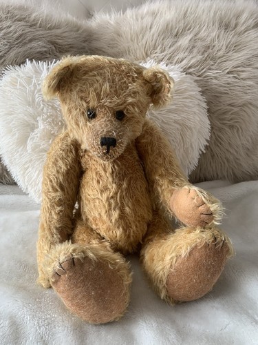 Bears the coast teddy - on,
