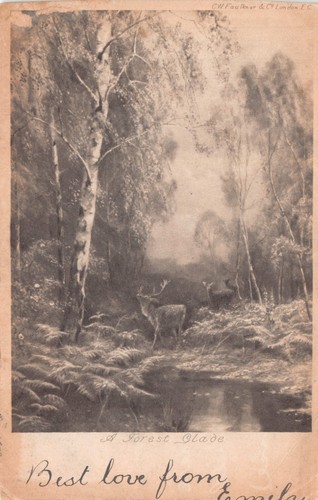 Family history postcard - family,