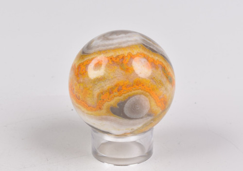 Bumble bee jasper - bumble,