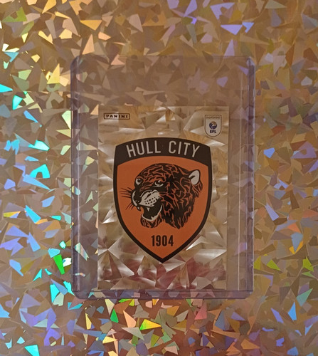 Hull city football - hull, club