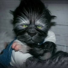 19inch Reborn doll kit Robbie