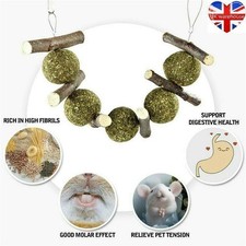 Grass Treats Bunny Chew Toy