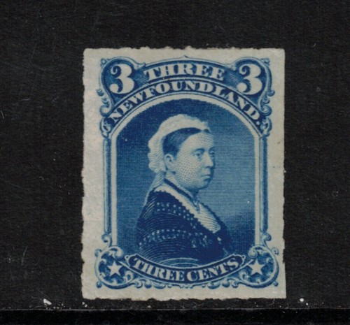 Newfoundland extra fine - newfoundland,