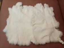 Genuine rabbit skin pelts - 2x,