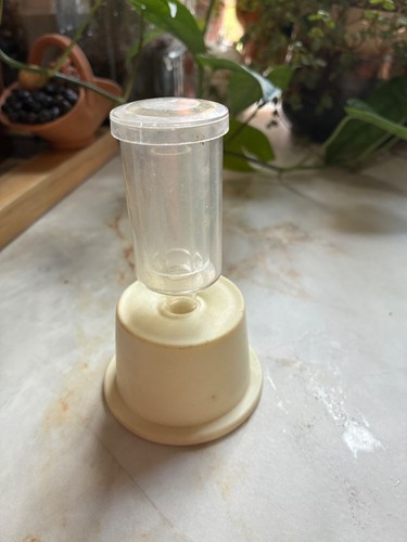 Standard cap for litre - cap, litre/