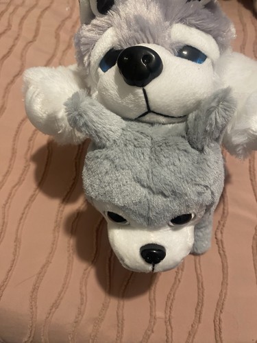 Pair husky dog soft toy - pair,