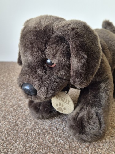 Keel toys harley chocolate - keel,