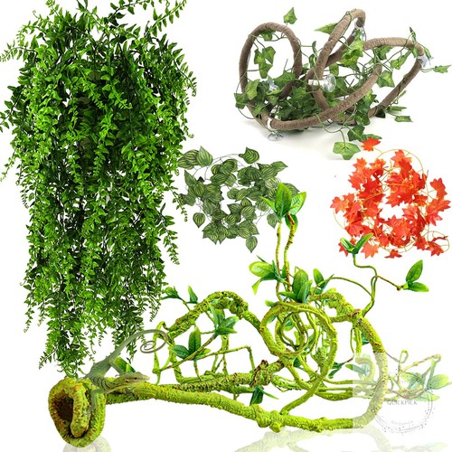 Reptile vines plants for - vines,