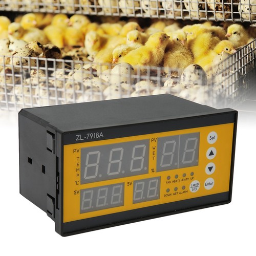 Egg hatcher controller - egg,