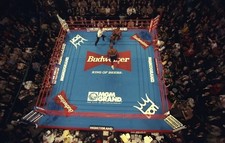 EVANDER HOLYFIELD vs. MIKE TYSON - MGM GRAND - NEVADA    - 6x4” PHOTO