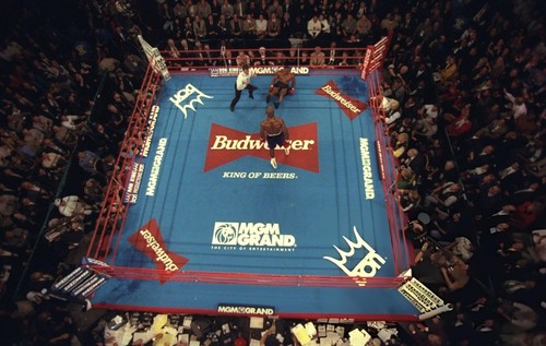 Evander holyfield mike - evander, vs.