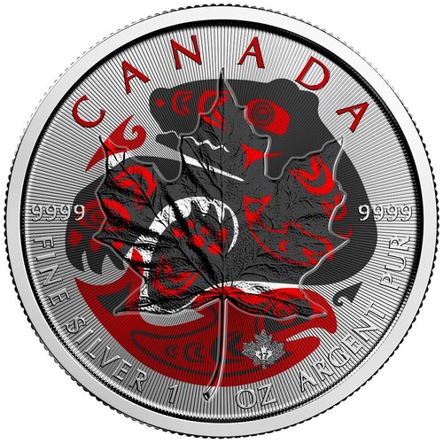 Bear salmon coloured canadian - bear,