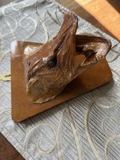 Taxidermy Northern Pike Head